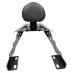 Dhe Best Bike Backrest/Back Rest with Carrier Top Rack Black Pad Cushion Suitable for RE Interceptor 650