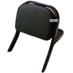 Dhe Best Bike Backrest Rear Passenger Back Rest Black Cushion Black Bar Compatible with Bajaj Avenger 150 Street
