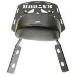 Dhe Best Bike Backrest Support Pillion Cushion Back Rest with Carrier Black Compatible with RE Hunter 350.